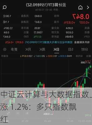 中证云计算与大数据指数上涨 1.2%：多只指数飘红