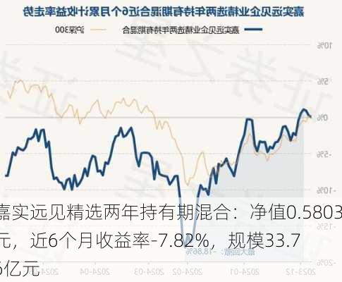 嘉实远见精选两年持有期混合：净值0.5803元，近6个月收益率-7.82%，规模33.76亿元