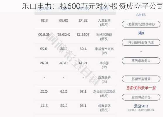 乐山电力：拟600万元对外投资成立子公司