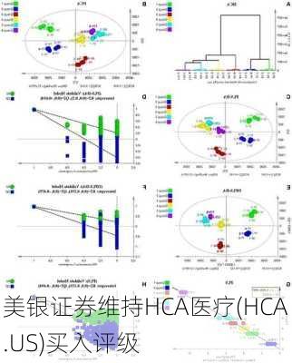 美银证券维持HCA医疗(HCA.US)买入评级