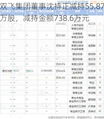 双飞集团董事沈持正减持55.87万股，减持金额738.6万元