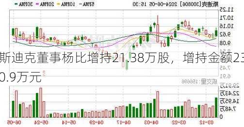 斯迪克董事杨比增持21.38万股，增持金额230.9万元