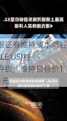 美银证券维持淡水河谷(VALE.US)持有评级，维持目标价13美元