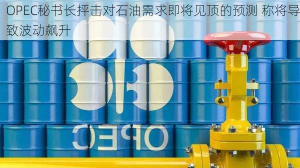 OPEC秘书长抨击对石油需求即将见顶的预测 称将导致波动飙升