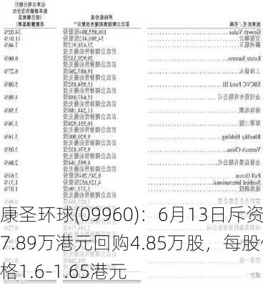 康圣环球(09960)：6月13日斥资7.89万港元回购4.85万股，每股价格1.6-1.65港元