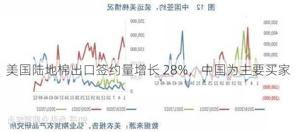 美国陆地棉出口签约量增长 28%，中国为主要买家