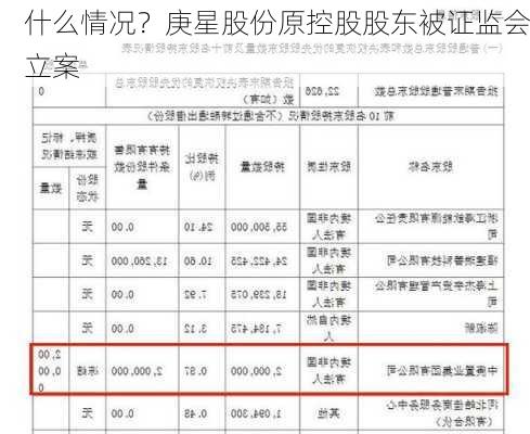 什么情况？庚星股份原控股股东被证监会立案