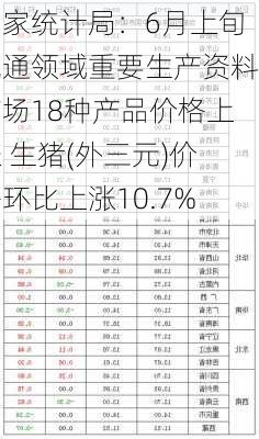 国家统计局：6月上旬流通领域重要生产资料市场18种产品价格上涨 生猪(外三元)价格环比上涨10.7%