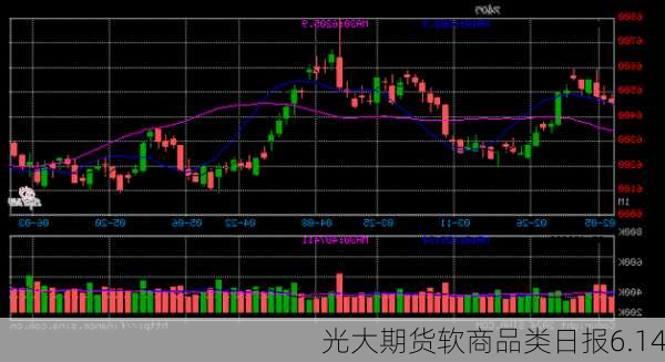 光大期货软商品类日报6.14