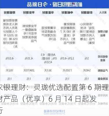 农银理财：灵珑优选配置第 6 期理财产品（优享）6 月 14 日起发行