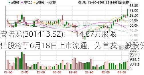 安培龙(301413.SZ)：114.87万股限售股将于6月18日上市流通，为首发一般股份