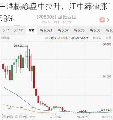 白酒概念盘中拉升，江中药业涨1.53%