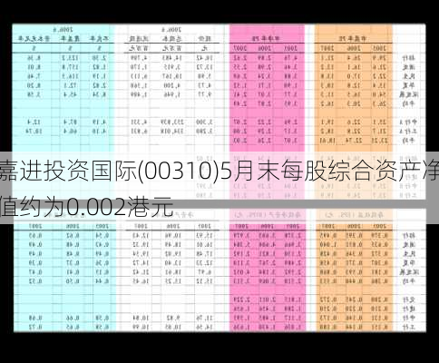 嘉进投资国际(00310)5月末每股综合资产净值约为0.002港元