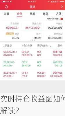 实时持仓收益图如何解读？