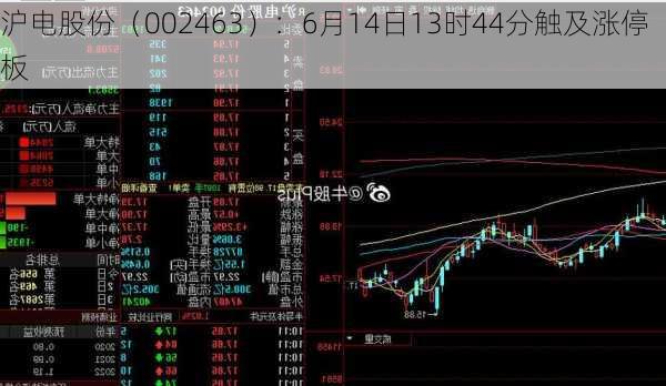 沪电股份（002463）：6月14日13时44分触及涨停板