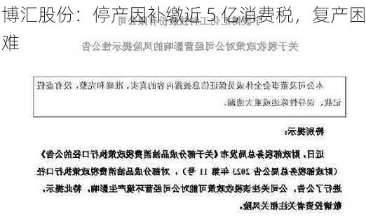 博汇股份：停产因补缴近 5 亿消费税，复产困难