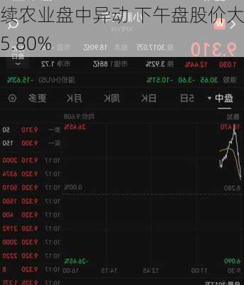 永续农业盘中异动 下午盘股价大涨5.80%