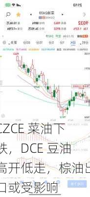 CZCE 菜油下跌，DCE 豆油高开低走，棕油出口或受影响