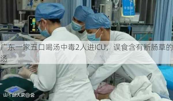 广东一家五口喝汤中毒2人进ICU，误食含有断肠草的汤