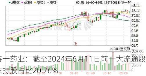 特一药业：截至2024年6月11日前十大流通股东持股占比20.76%