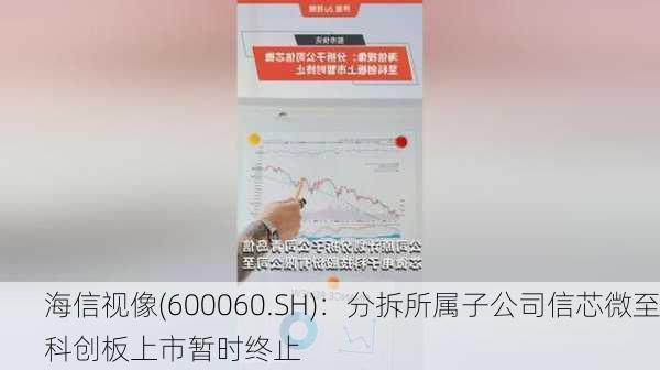 海信视像(600060.SH)：分拆所属子公司信芯微至科创板上市暂时终止