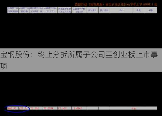 宝钢股份：终止分拆所属子公司至创业板上市事项