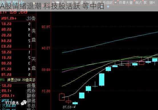 A股情绪退潮 科技股活跃 等中阳