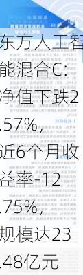 东方人工智能混合C：净值下跌2.57%，近6个月收益率-12.75%，规模达23.48亿元