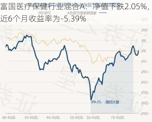 富国医疗保健行业混合A：净值下跌2.05%，近6个月收益率为-5.39%