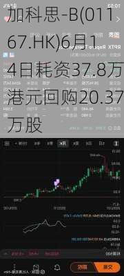 加科思-B(01167.HK)6月14日耗资37.8万港元回购20.37万股