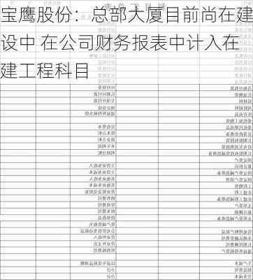 宝鹰股份：总部大厦目前尚在建设中 在公司财务报表中计入在建工程科目