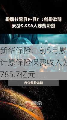 新华保险：前5月累计原保险保费收入为785.7亿元