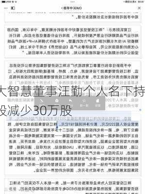 大智慧董事汪勤个人名下持股减少30万股