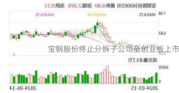 宝钢股份终止分拆子公司至创业板上市