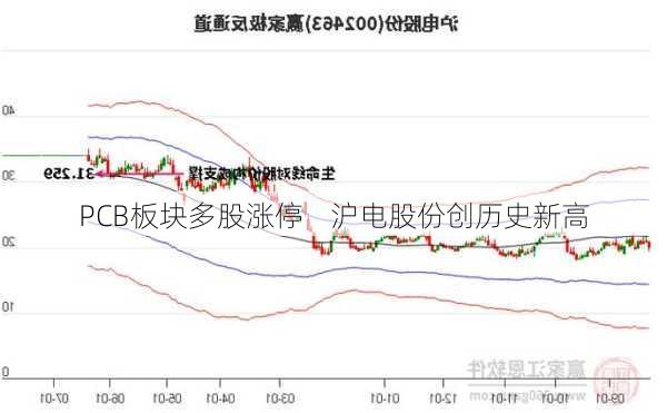 PCB板块多股涨停    沪电股份创历史新高