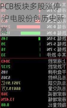 PCB板块多股涨停 沪电股份创历史新高