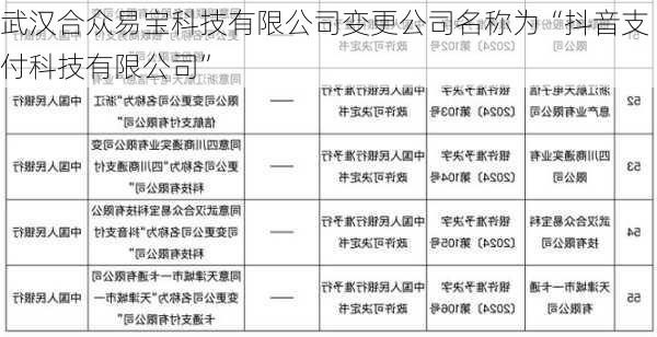 武汉合众易宝科技有限公司变更公司名称为“抖音支付科技有限公司”