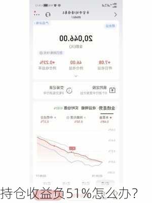 持仓收益负51%怎么办？