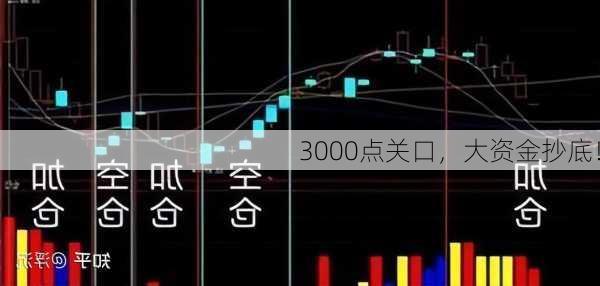 3000点关口，大资金抄底！