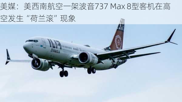 美媒：美西南航空一架波音737 Max 8型客机在高空发生“荷兰滚”现象