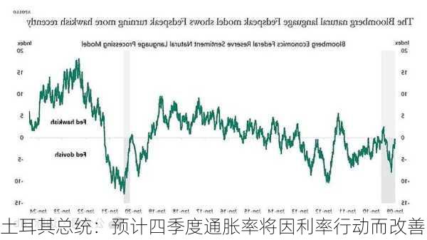 土耳其总统：预计四季度通胀率将因利率行动而改善