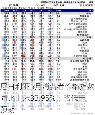 尼日利亚5月消费者价格指数：同比上涨33.95%，略低于预期