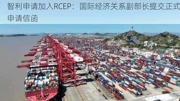 智利申请加入RCEP：国际经济关系副部长提交正式申请信函