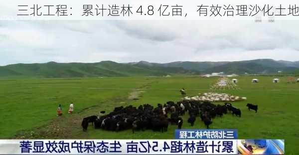 三北工程：累计造林 4.8 亿亩，有效治理沙化土地