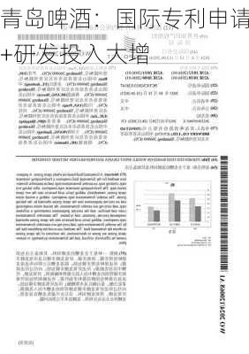 青岛啤酒：国际专利申请+研发投入大增