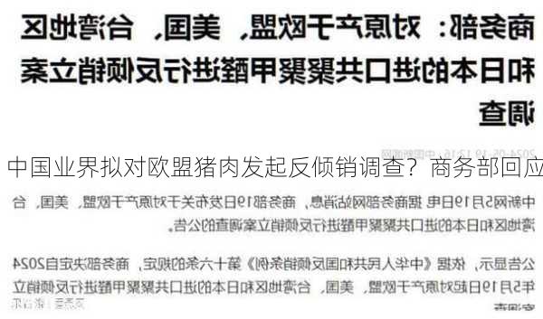 中国业界拟对欧盟猪肉发起反倾销调查？商务部回应