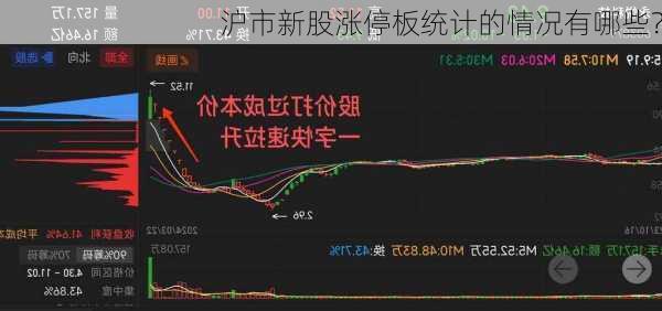 沪市新股涨停板统计的情况有哪些？