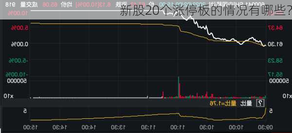 新股20个涨停板的情况有哪些？