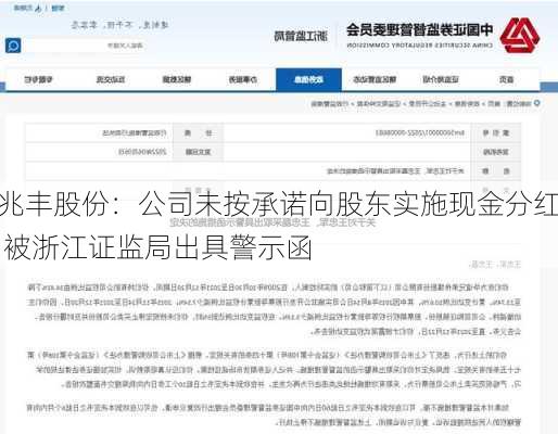 兆丰股份：公司未按承诺向股东实施现金分红 被浙江证监局出具警示函