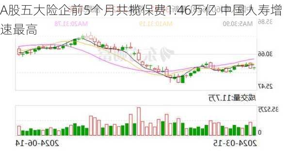 A股五大险企前5个月共揽保费1.46万亿 中国人寿增速最高